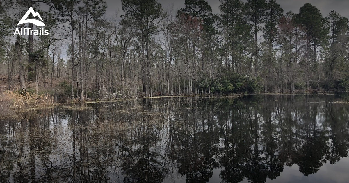 2023 Best Forest Trails in Swainsboro AllTrails