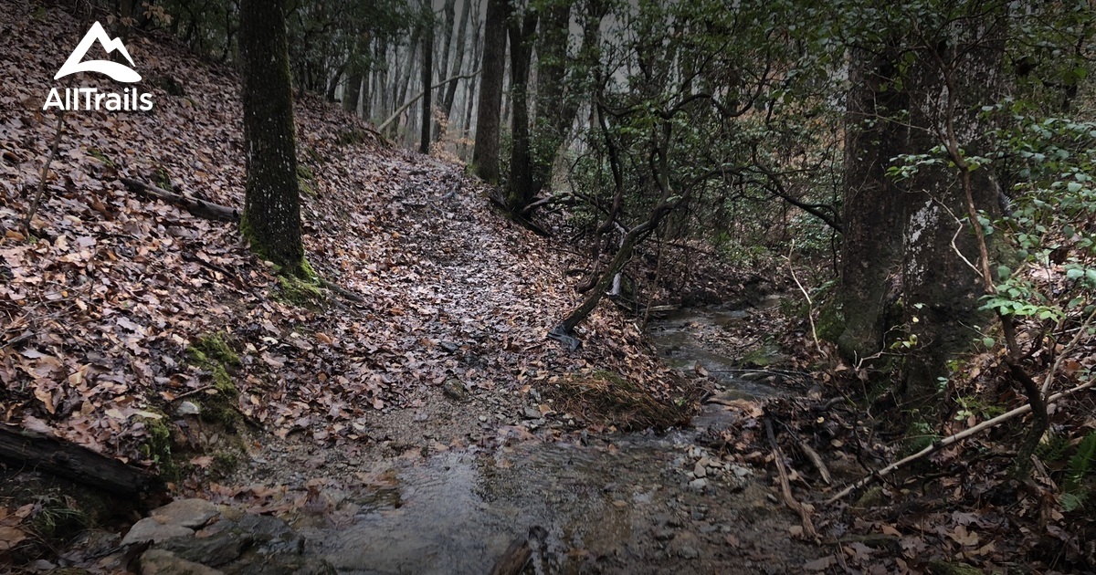 Best Trails near Waleska, AllTrails