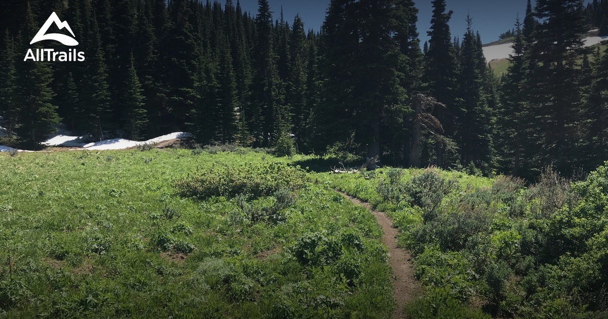 Best Hikes and Trails in Bancroft AllTrails