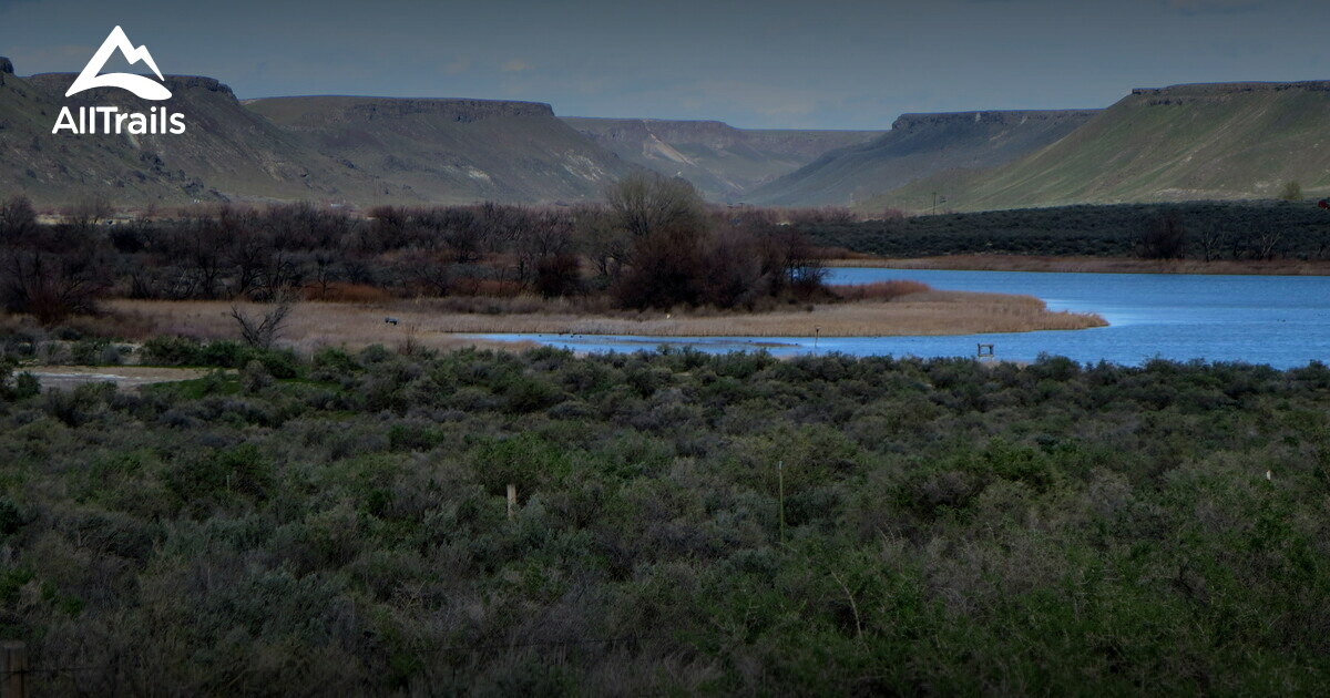 10 Best Trails and Hikes in Bruneau AllTrails