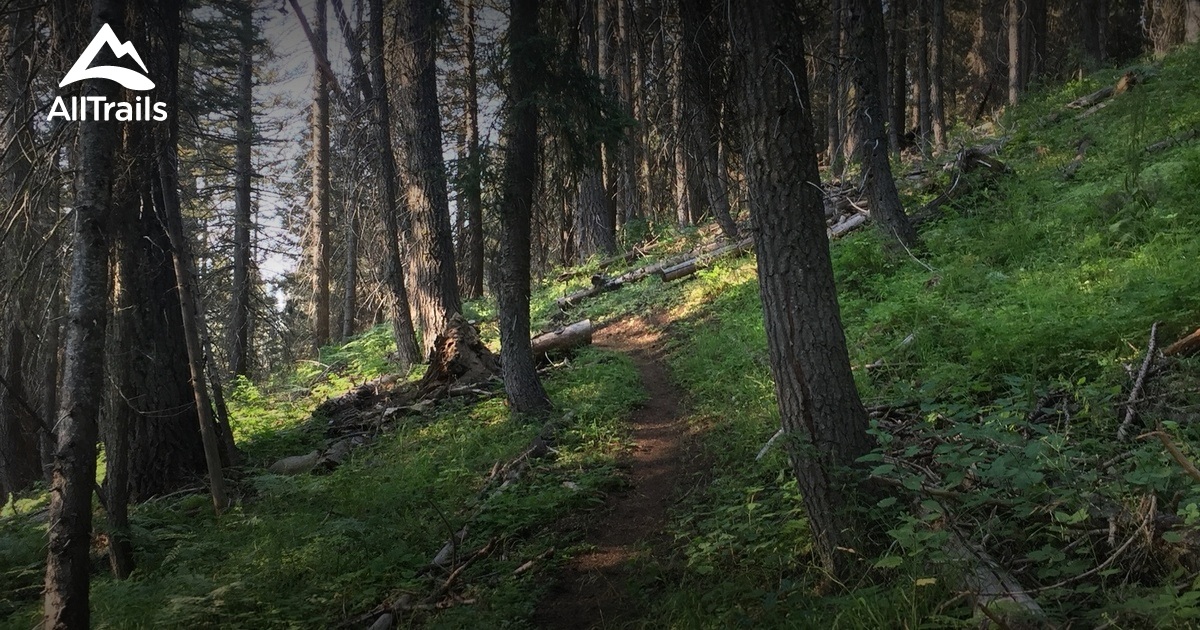 Best Hikes and Trails in Donnelly AllTrails