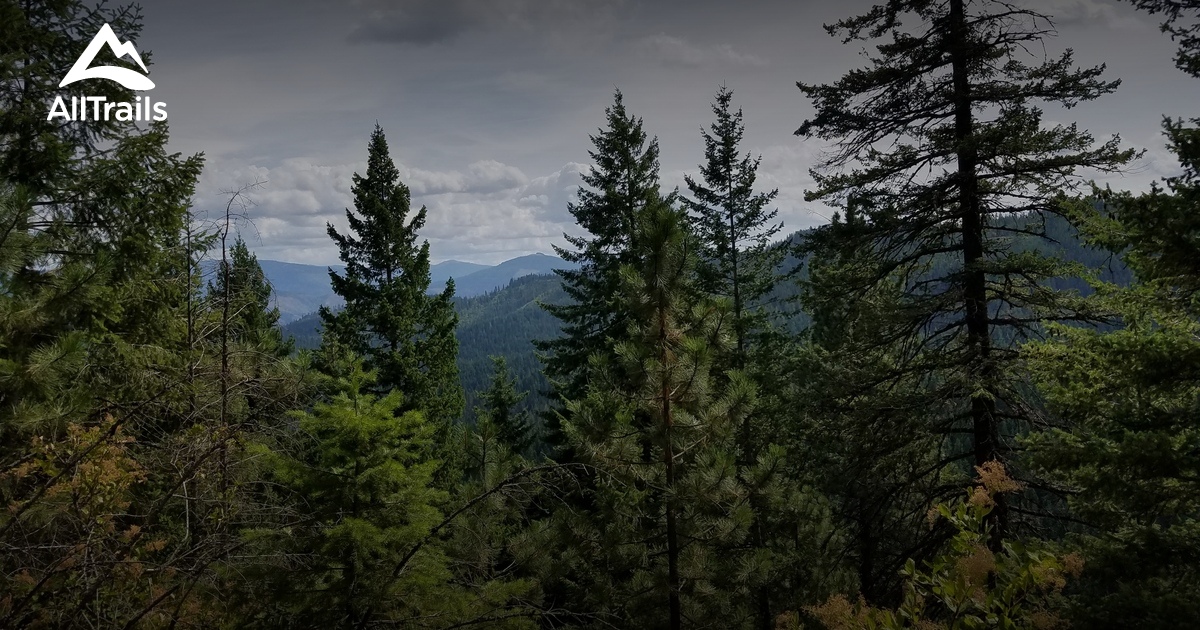 Best Hikes and Trails in Harrison AllTrails