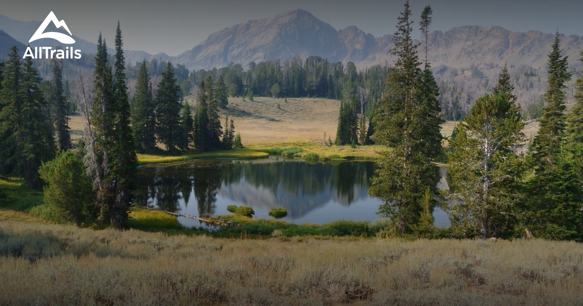 Best Trails near Moore, Idaho AllTrails