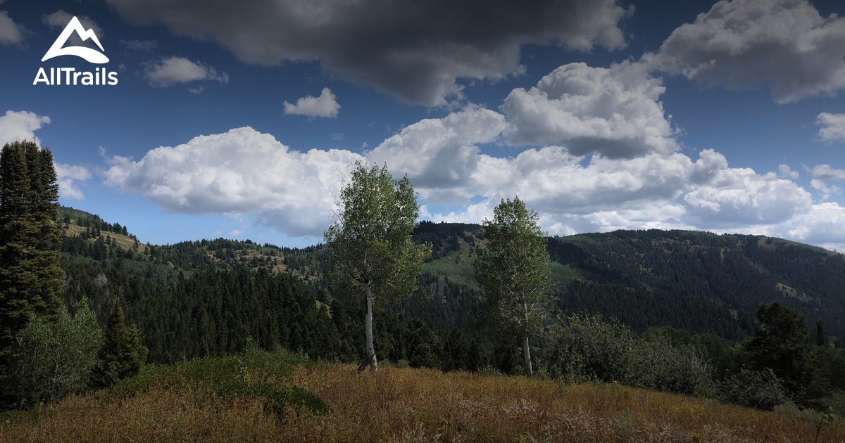 Best Hikes and Trails in Soda Springs AllTrails
