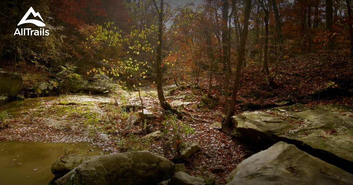 Best Hikes and Trails in Campbell Hill AllTrails