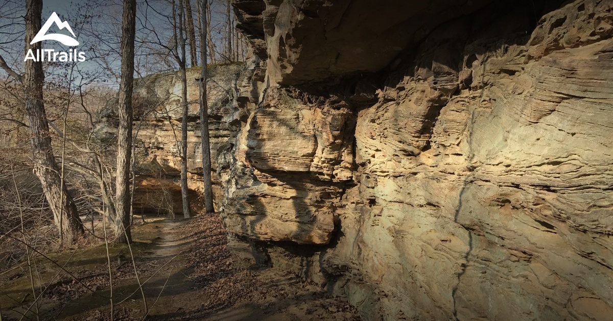 10 Best Trails and Hikes in Carbondale AllTrails