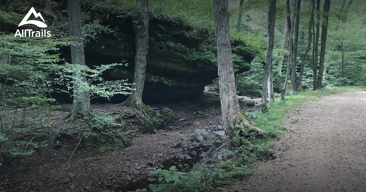 Best Trails near Goreville, Illinois AllTrails