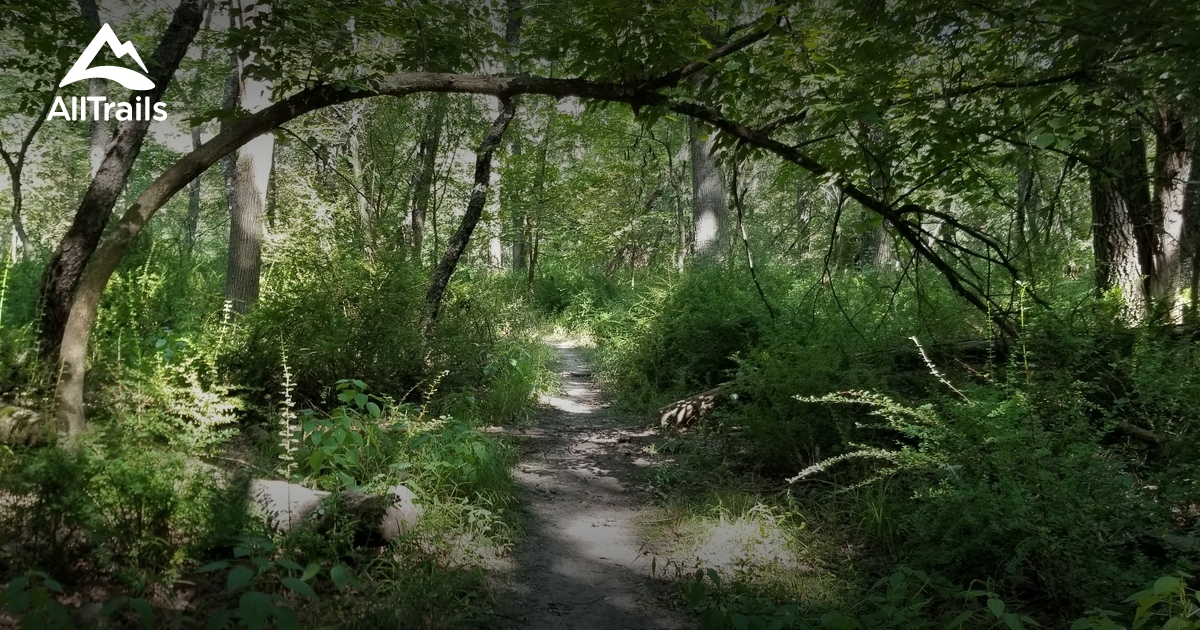 Best Hikes and Trails in Schiller Park AllTrails