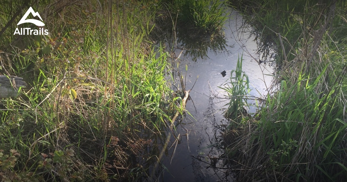 Best Trails near Wonder Lake, Illinois AllTrails