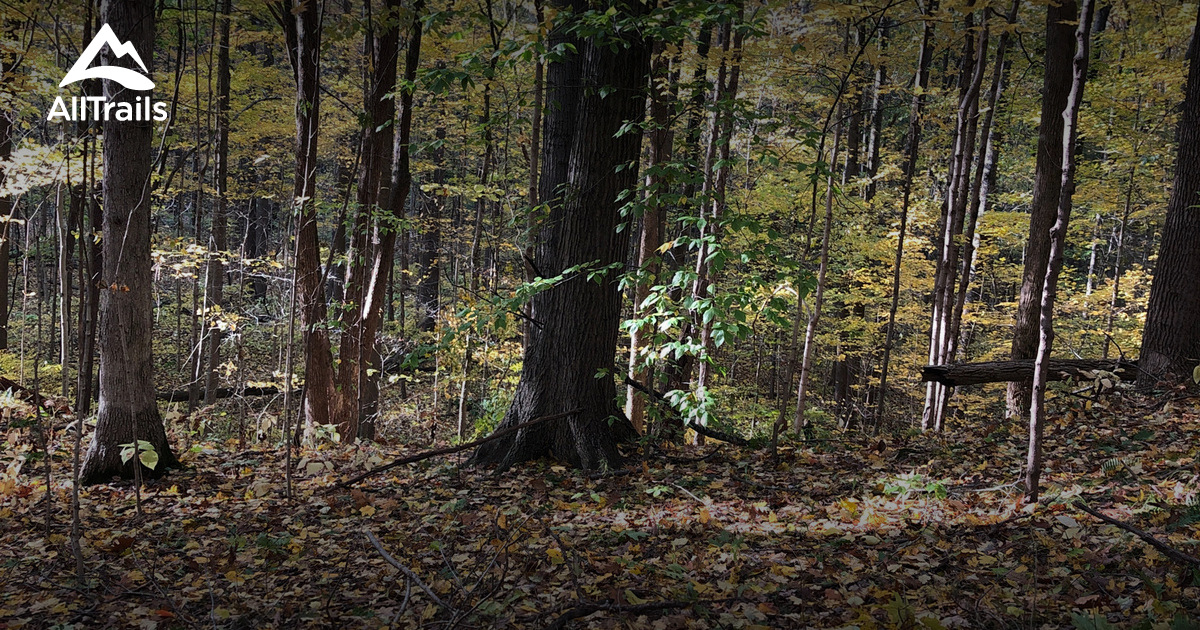 Best Walking Trails in Grissom ARB AllTrails