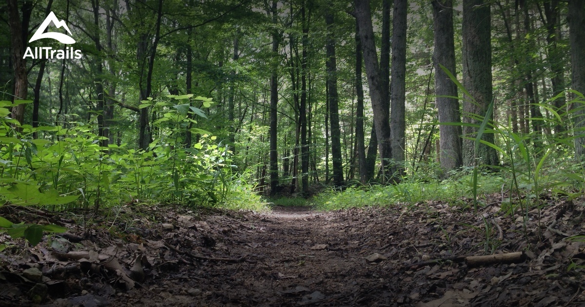Best Hikes and Trails in Heltonville AllTrails