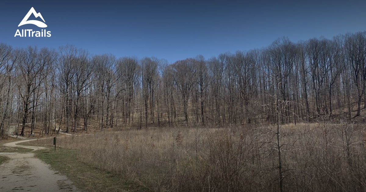 2023 Best Forest Trails in Paragon AllTrails