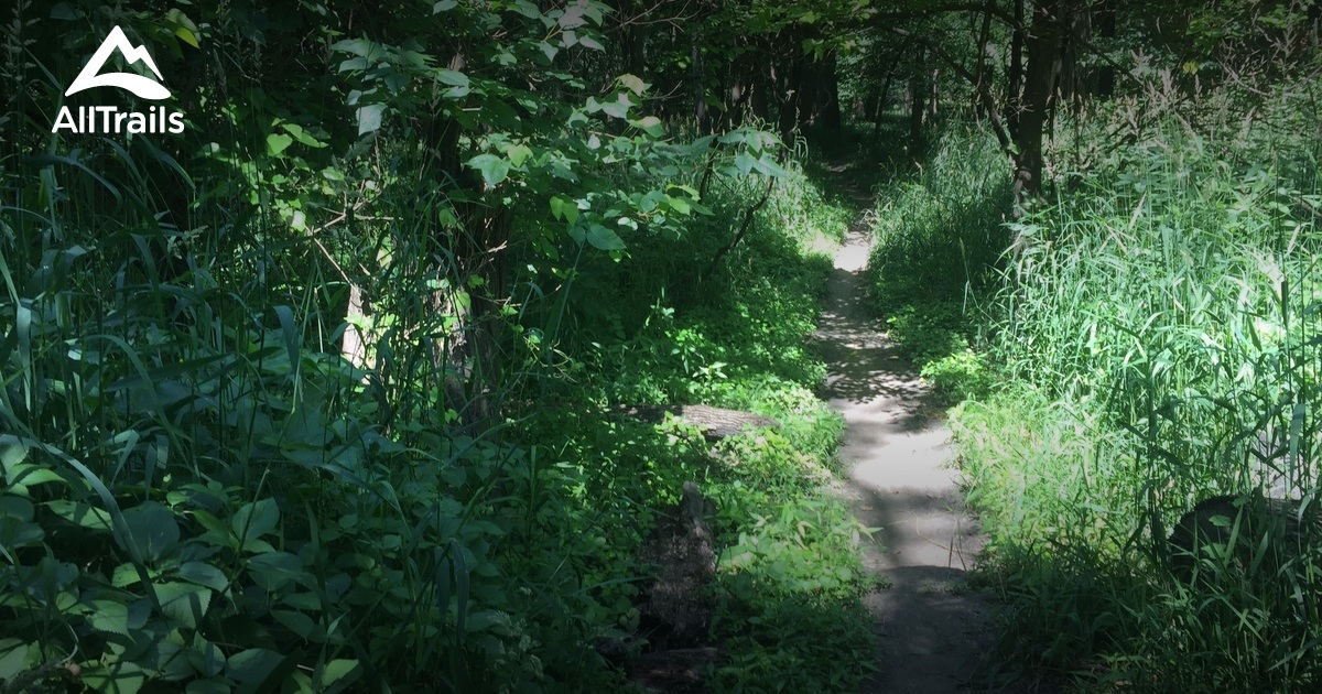 City map Des Moines Jowa 3 10