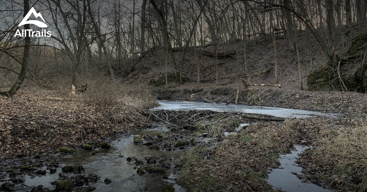 Best Hikes and Trails in Ely AllTrails