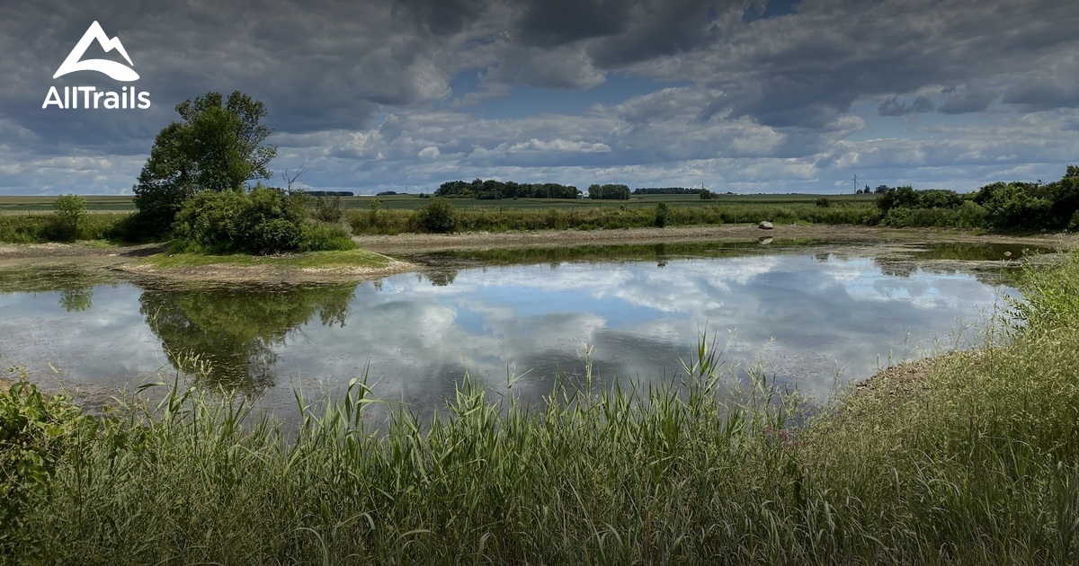 2023 Best Wild Flowers Trails in Ocheyedan AllTrails