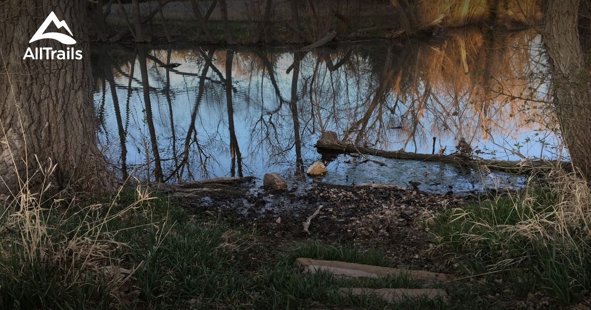 Best Dog Friendly Trails in Hays AllTrails