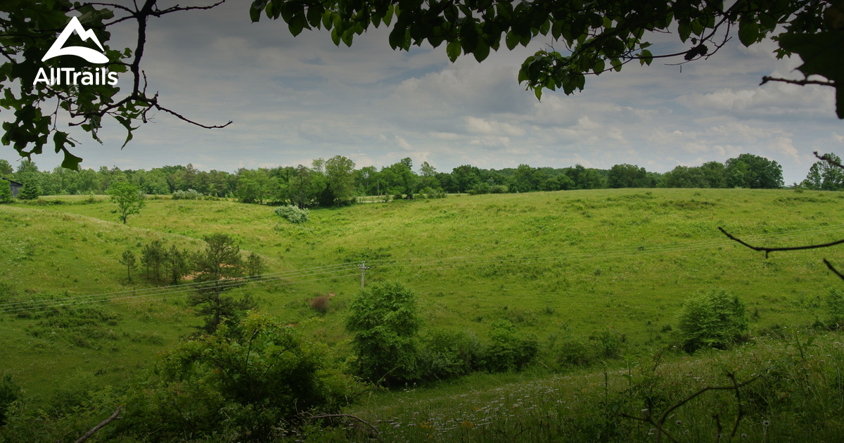 Best Hikes and Trails in Beattyville AllTrails