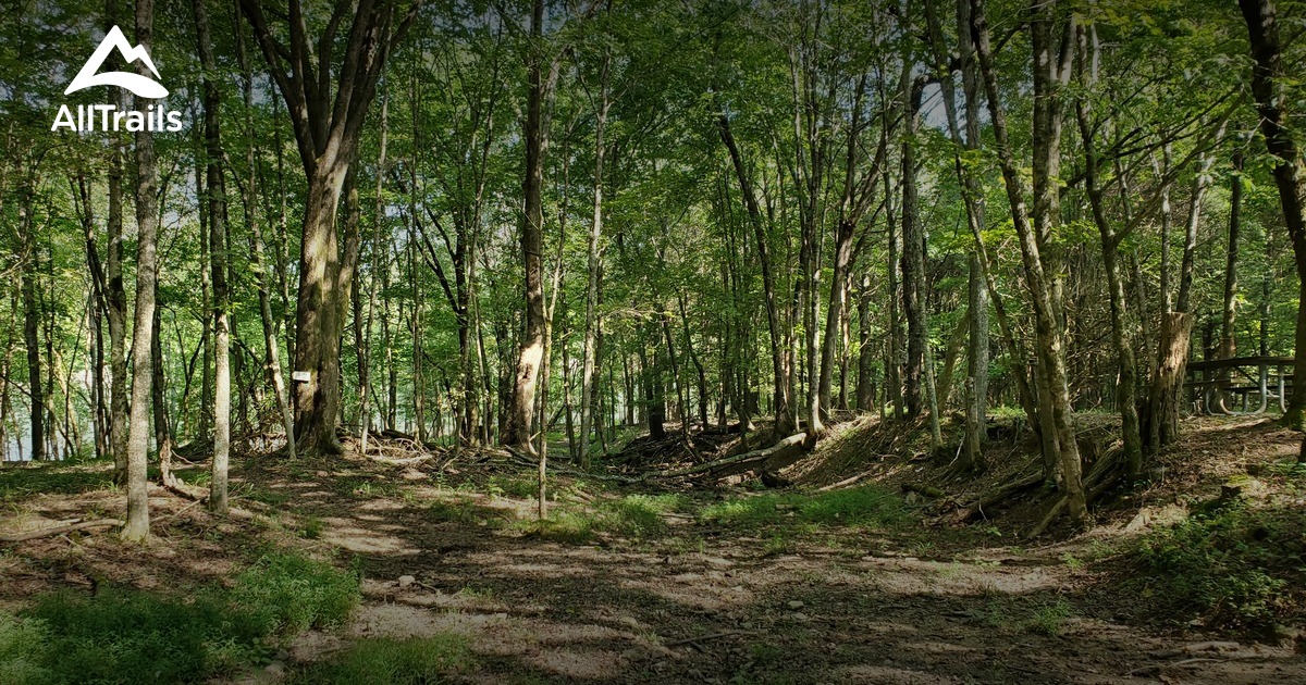 2023 Best Views Trails in Cane Valley AllTrails