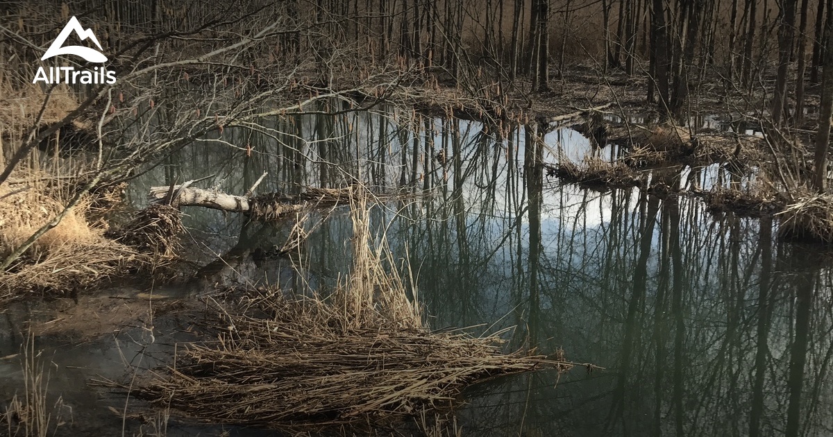 Best hikes and trails in Central City AllTrails