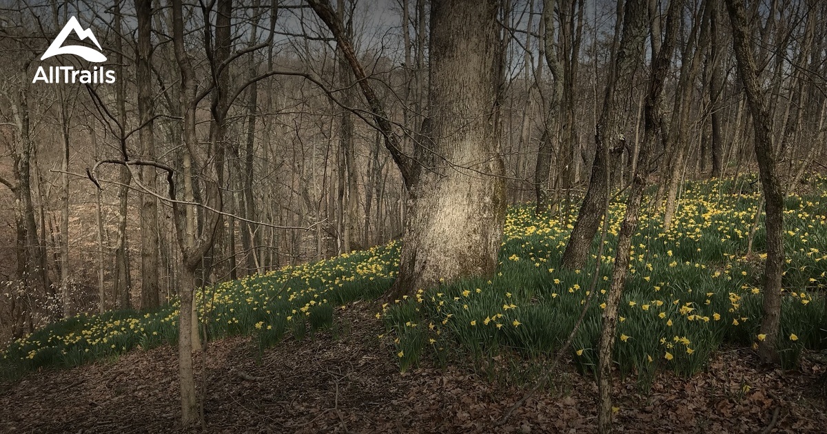 2023 Best 10 Trails and Hikes in Fairdale AllTrails