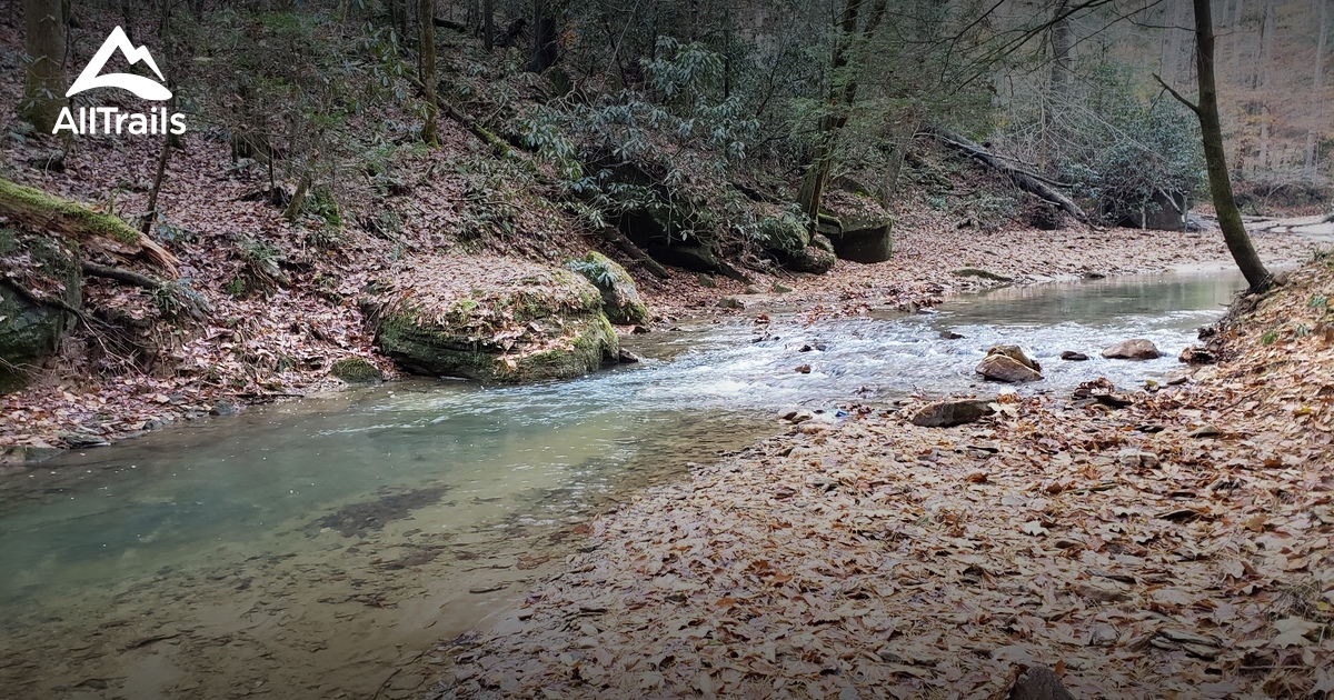 Best Trails near Frenchburg, Kentucky AllTrails