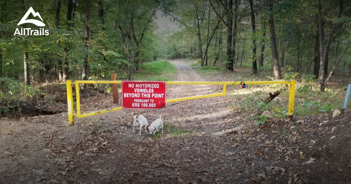 Best Trails near Gilbertsville, Kentucky AllTrails