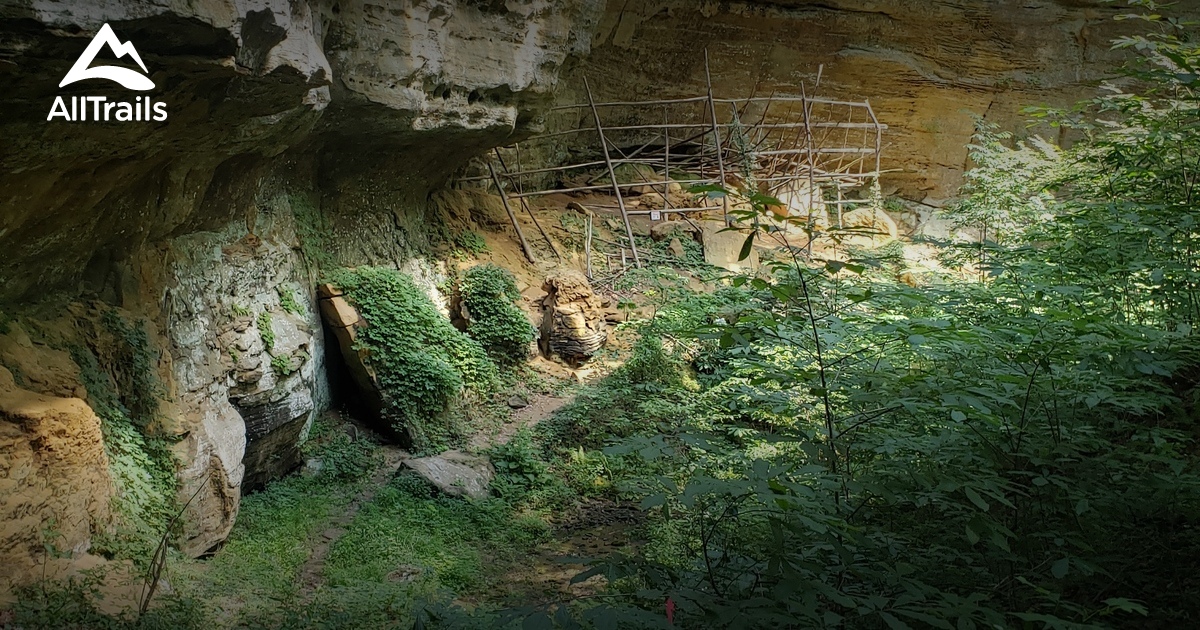 Best 10 Trails and Hikes in Hawesville AllTrails