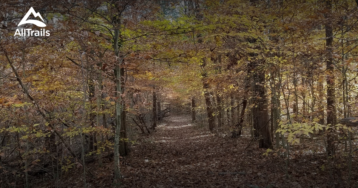 Best Trails near Horse Cave, Kentucky AllTrails