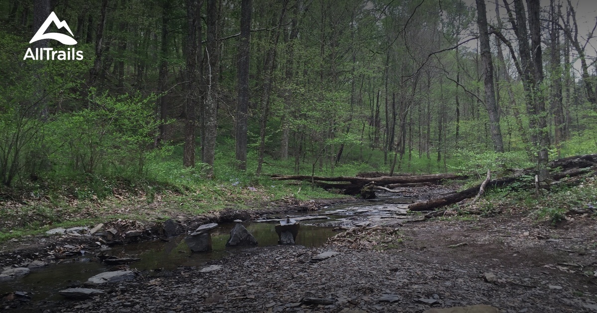 Best Trails near Lebanon Junction, Kentucky AllTrails