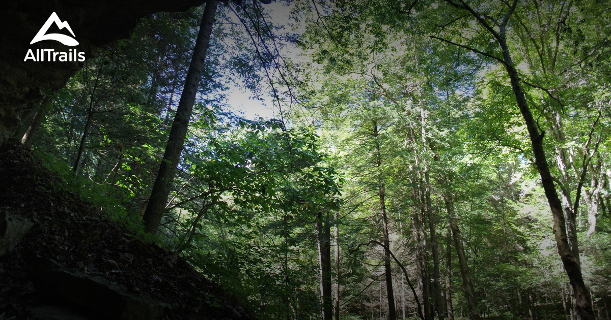 Best Trails near McKee, Kentucky AllTrails