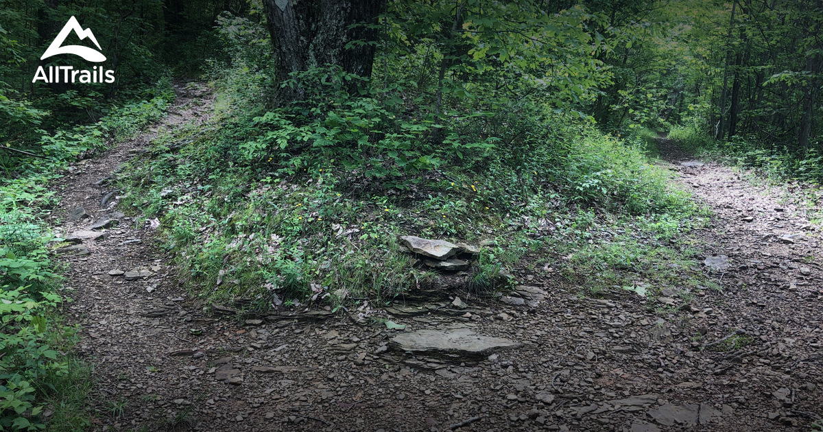 Best hikes and trails in Morehead AllTrails