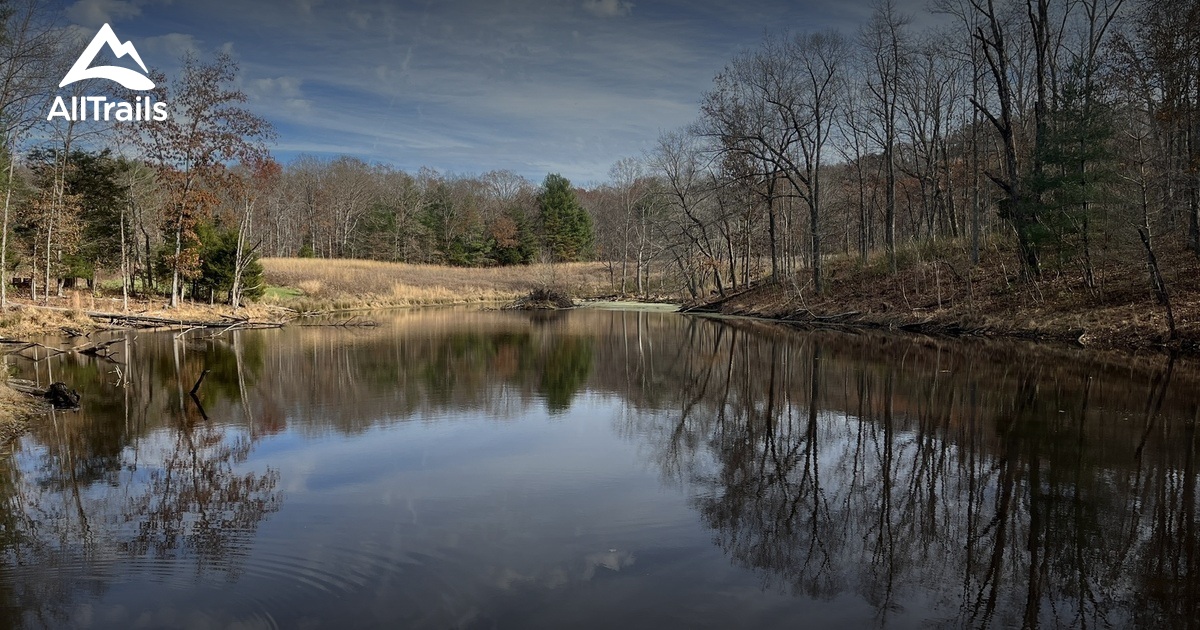 2023 Best Short Trails in Parksville AllTrails