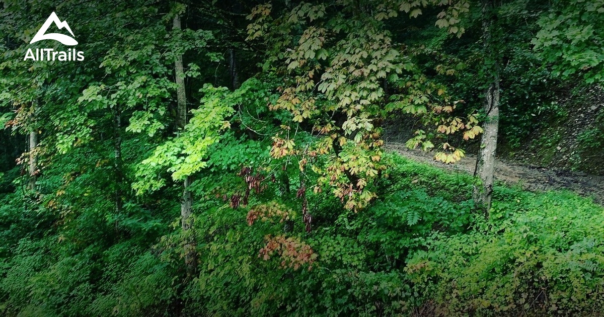 Best Hikes and Trails in Pikeville AllTrails