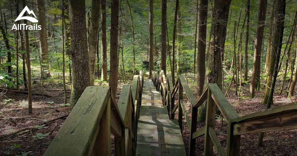 Best Historic Site Trails in Pineville AllTrails