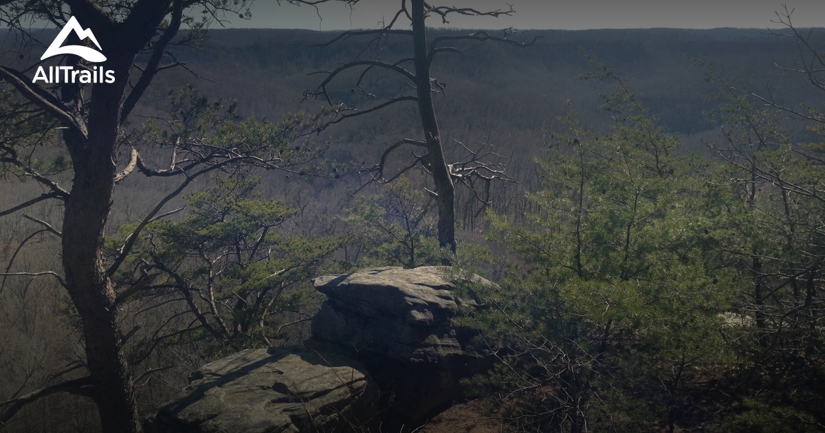 Best Trails near Salt Lick, Kentucky AllTrails