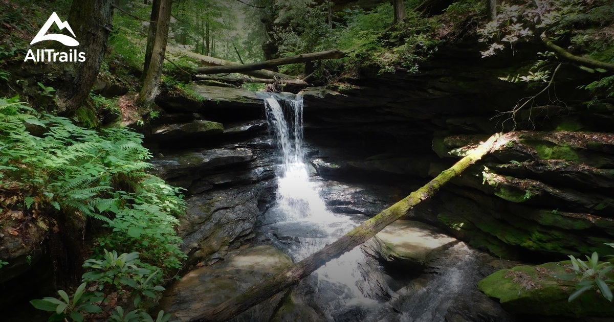 Best walking trails in Staffordsville, Kentucky AllTrails