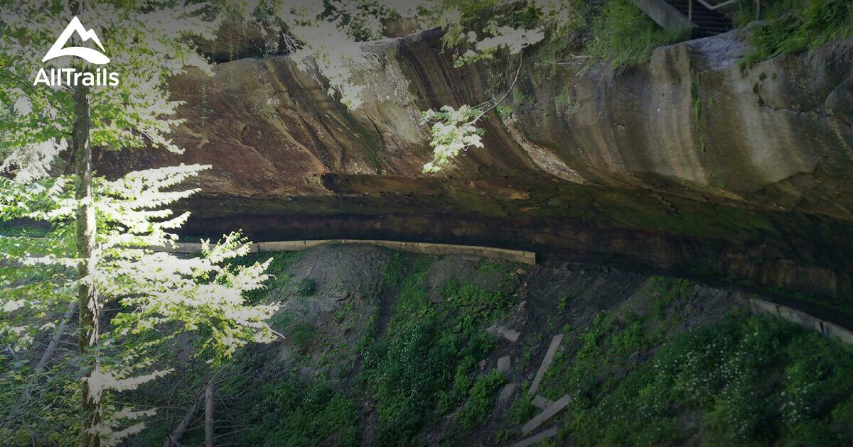 Best Hikes and Trails in Wellington AllTrails