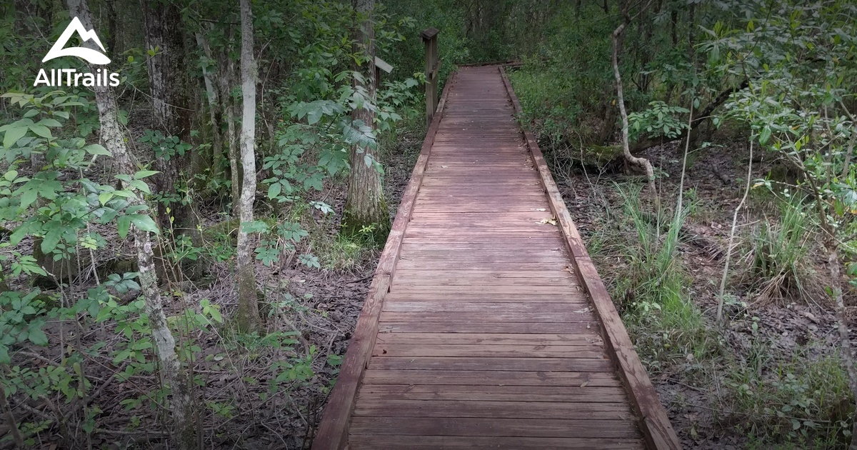 Best Trails near Abita Springs, Louisiana AllTrails
