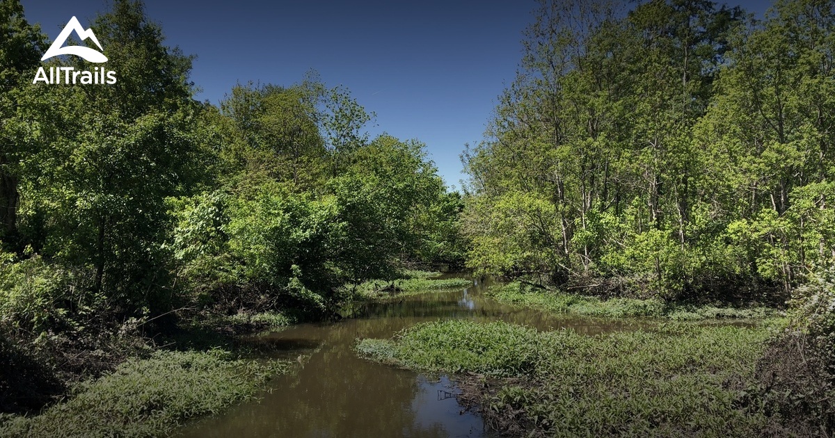 Best Hikes and Trails in Belle Chasse AllTrails