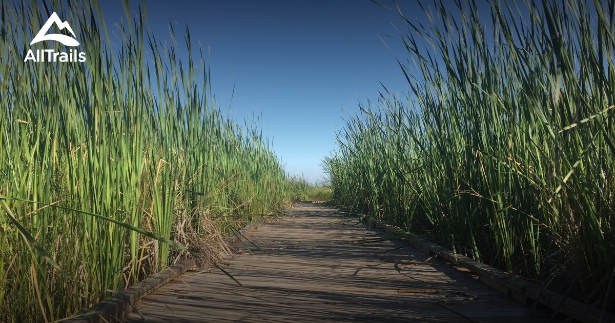 Best Hikes and Trails in Mandeville AllTrails