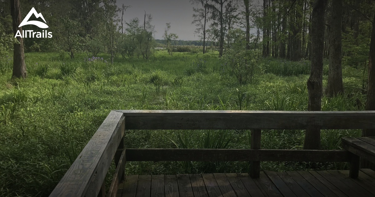 Best hikes and trails in Ponchatoula AllTrails