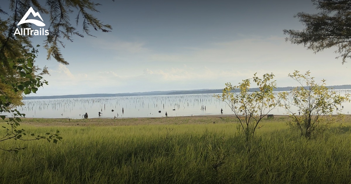 Best Hikes and Trails in Zwolle AllTrails