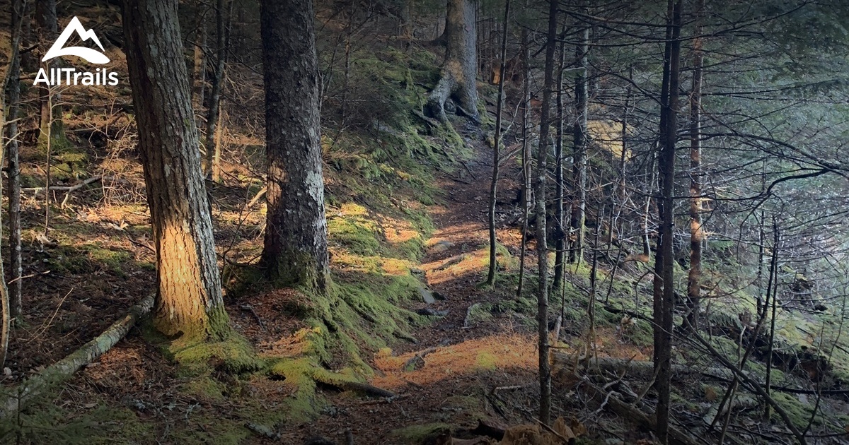 Best Trails near Maine AllTrails