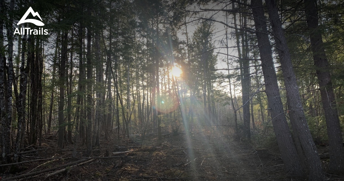 Best Hikes and Trails in Levant AllTrails