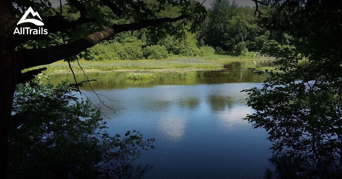 Best Hikes and Trails in Sanford AllTrails