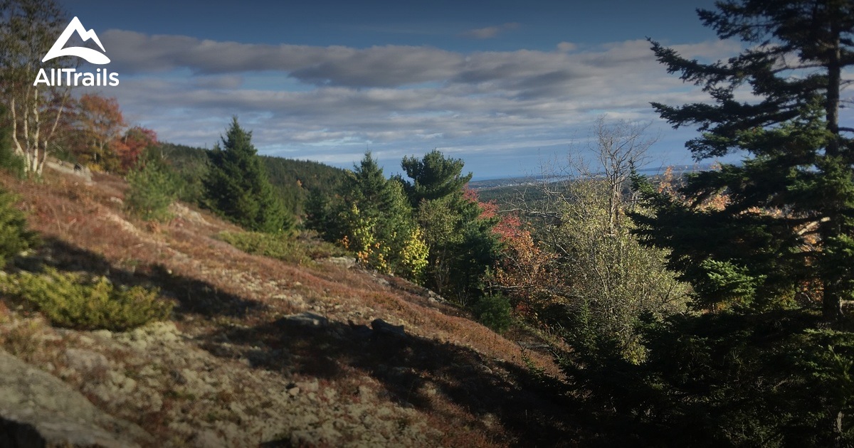 Best Trails near Seal Cove, Maine AllTrails