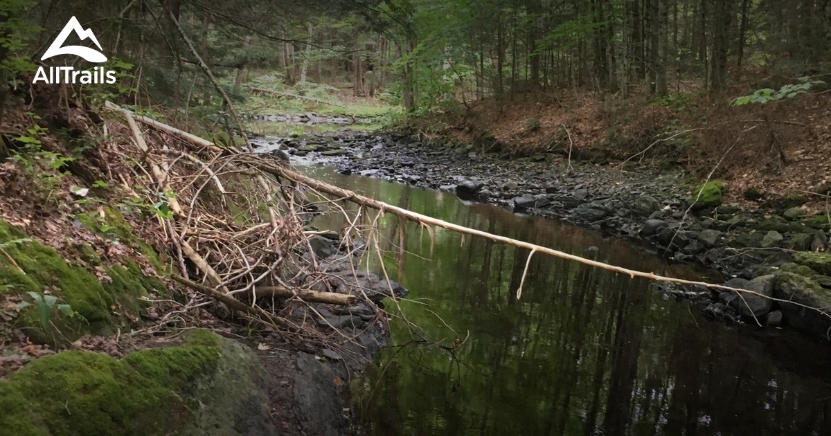 Best Hikes and Trails in Thorndike AllTrails