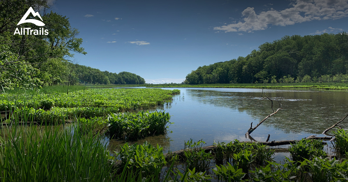 Best Hikes and Trails in Port Republic AllTrails