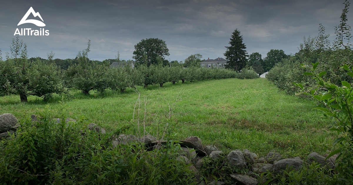 2023 Best Wild Flowers Trails in Dighton AllTrails