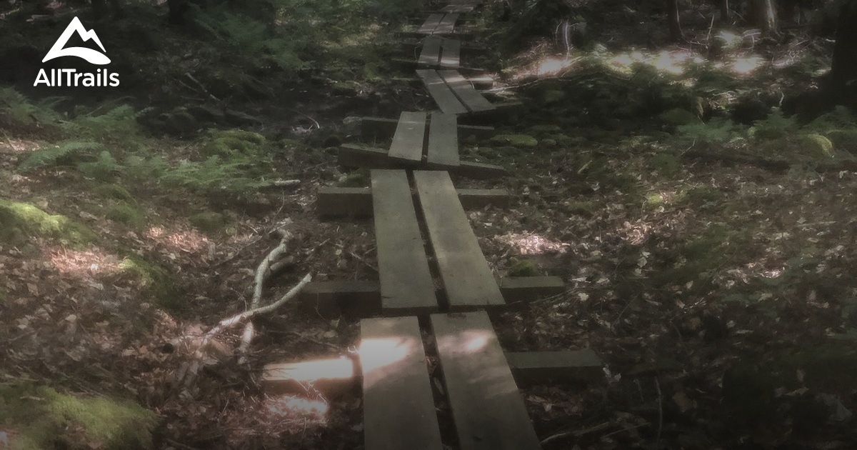 Best Hikes and Trails in East Otis AllTrails